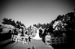 This was from our wedding to give you an idea of how it looks back there.