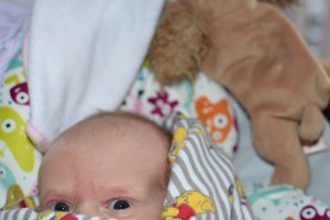 Evelen Charlotte's here!