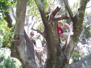 1919183_1192169295893_4229947_n